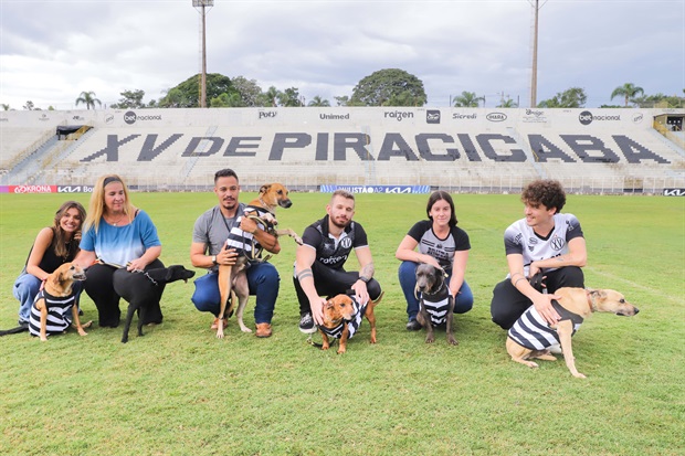 Adoção de cães e gatos recebe estímulo em jogo do XV neste sábado (11) -  Câmara Municipal de Piracicaba
