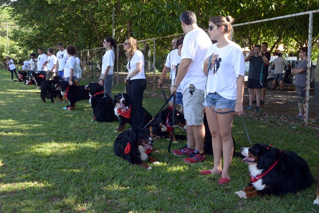 Encontro de Berneses de Piracicaba